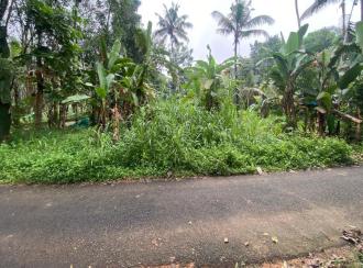 Residential Land for Sale in Ernakulam, Muvattupuzha, Vazhakulam