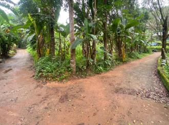 Residential Land for Sale in Ernakulam, Muvattupuzha, Vazhakulam