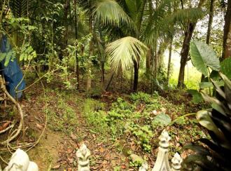 Residential House Villa for Sale in Wayanad, Kalpetta, Kalpetta, near AUPS ARIMULA - Poothadi District Wayanad (Kerala)