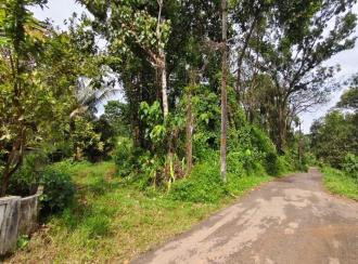 Residential Land for SaleErnakulam, Kothamangalam, Ayyankavu
