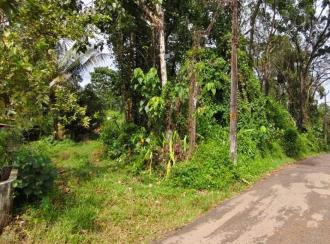 Residential Land for Sale in Ernakulam, Kothamangalam, Ayyankavu, PAITTAKULAM MARBELS KOOTHAMANGALAM KERALA