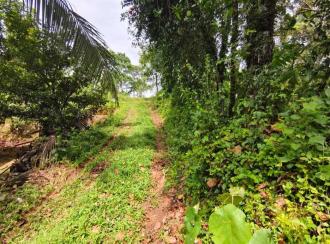 Residential Land for Sale in Ernakulam, Kothamangalam, Ayyankavu, PAITTAKULAM MARBELS KOOTHAMANGALAM KERALA