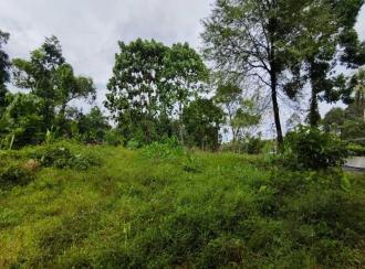 Residential Land for Sale in Ernakulam, Kothamangalam, Ayyankavu, PAITTAKULAM MARBELS KOOTHAMANGALAM KERALA