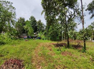 Residential Land for Sale in Ernakulam, Kothamangalam, Ayyankavu, PAITTAKULAM MARBELS KOOTHAMANGALAM KERALA