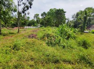 Residential Land for Sale in Ernakulam, Kothamangalam, Ayyankavu, PAITTAKULAM MARBELS KOOTHAMANGALAM KERALA