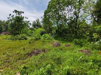 Residential Land for Sale in Ernakulam, Kothamangalam, Ayyankavu, PAITTAKULAM MARBELS KOOTHAMANGALAM KERALA