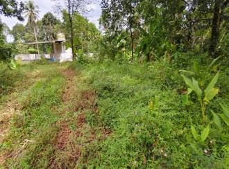 Residential Land for Sale in Ernakulam, Kothamangalam, Ayyankavu, PAITTAKULAM MARBELS KOOTHAMANGALAM KERALA