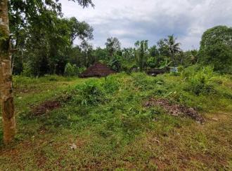 Residential Land for Sale in Ernakulam, Kothamangalam, Ayyankavu, PAITTAKULAM MARBELS KOOTHAMANGALAM KERALA