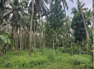 Residential Land for Sale in Palakkad, Mannarkkad, Alanallur, Malikkunnu
