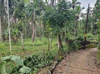 Residential Land for Sale in Palakkad, Mannarkkad, Alanallur, Malikkunnu