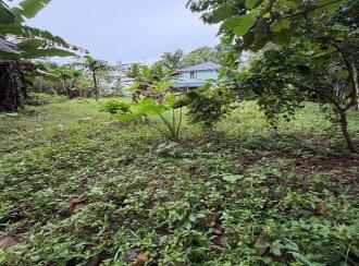 Residential Land for Sale in Pathanamthitta, Pandalam, Pandalam, NSS COLLEGE OPPOSITE