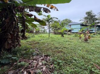 Residential Land for Sale in Pathanamthitta, Pandalam, Pandalam, NSS COLLEGE OPPOSITE