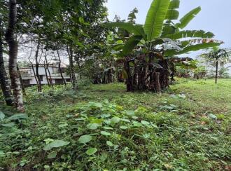 Residential Land for Sale in Pathanamthitta, Pandalam, Pandalam, NSS COLLEGE OPPOSITE