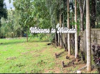 Residential Land for Sale in Pathanamthitta, Kozhencherry, Nellikala, Nellikala junction