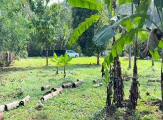Residential Land for Sale in Pathanamthitta, Kozhencherry, Nellikala, Nellikala junction
