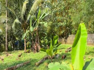 Residential Land for Sale in Pathanamthitta, Kozhencherry, Nellikala, Nellikala junction