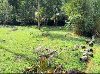 Residential Land for Sale in Pathanamthitta, Kozhencherry, Nellikala, Nellikala junction