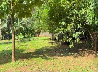 Residential Land for Sale in Pathanamthitta, Kozhencherry, Nellikala, Nellikala junction