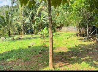 Residential Land for Sale in Pathanamthitta, Kozhencherry, Nellikala, Nellikala junction