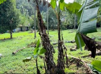 Residential Land for Sale in Pathanamthitta, Kozhencherry, Nellikala, Nellikala junction