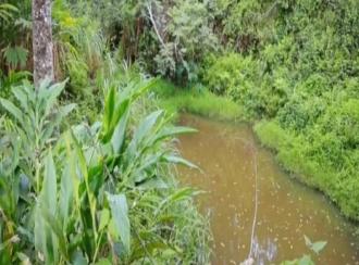 Commercial Land for Sale in Idukki, Munnar, Kottappara