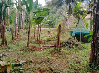 Residential Land for Sale in Kottayam, Pala, Chakkampuzha, chittar