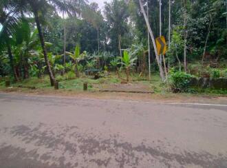 Residential Land for Sale in Kottayam, Pala, Chakkampuzha, chittar