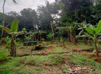 Residential Land for Sale in Kottayam, Pala, Chakkampuzha, chittar