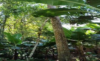 Residential Land for Sale in Thrissur, Chalakudy, Meloor, Pulani Hospital