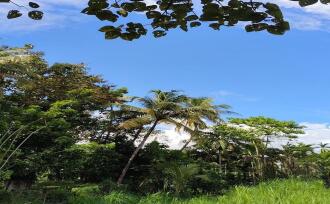 Residential Land for Sale