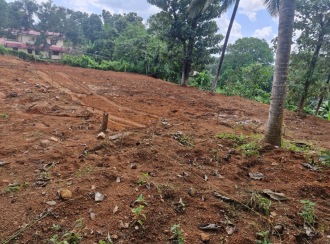 Residential Land for Sale in Pathanamthitta, Adoor, Kannamcode, Kannamcode