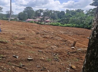 Residential Land for Sale in Pathanamthitta, Adoor, Kannamcode, Kannamcode