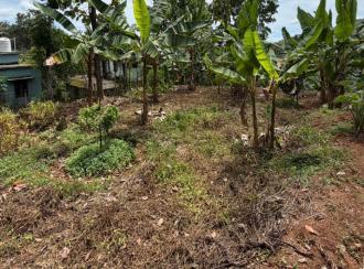 Commercial Land, Pathanamthitta