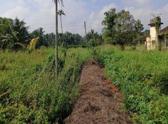 Residential Land for Sale in Ernakulam, Perumbavoor, Allapra, Allapra