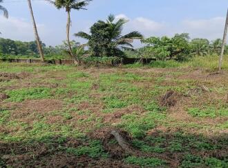 Residential Land for Sale in Ernakulam, Perumbavoor, Allapra, Allapra