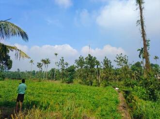 Residential Land for Sale in Ernakulam, Perumbavoor, Allapra, Allapra