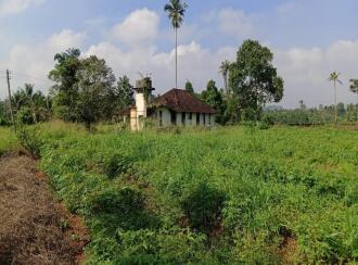 Residential Land for Sale in Ernakulam, Perumbavoor, Allapra, Allapra