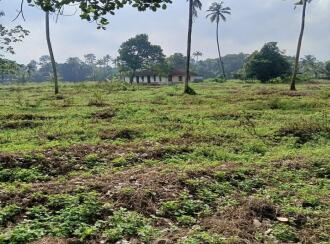 Residential Land for Sale in Ernakulam, Perumbavoor, Allapra, Allapra