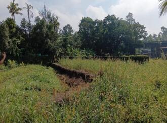 Residential Land for Sale in Ernakulam, Perumbavoor, Allapra, Allapra
