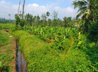 Residential Land for Sale in Ernakulam, Perumbavoor, Allapra, Allapra