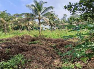 Residential Land for Sale in Ernakulam, Perumbavoor, Allapra, Allapra