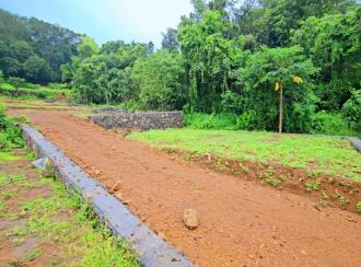 Residential Land for Sale in Ernakulam, Kanjiramattom, Neerpara