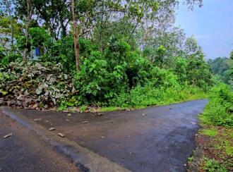 Residential Land for Sale in Ernakulam, Kanjiramattom, Neerpara