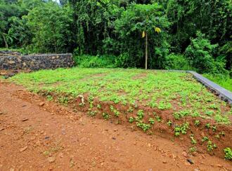 Residential Land for Sale in Ernakulam, Kanjiramattom, Neerpara