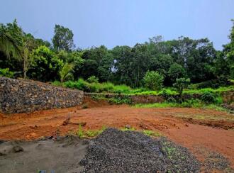 Residential Land for Sale in Ernakulam, Kanjiramattom, Neerpara