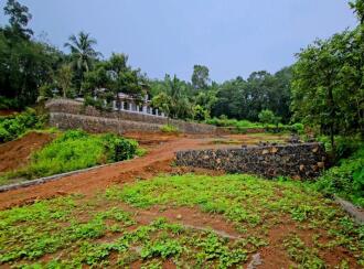 Residential Land for Sale in Ernakulam, Kanjiramattom, Neerpara