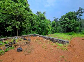 Residential Land for Sale in Ernakulam, Kanjiramattom, Neerpara