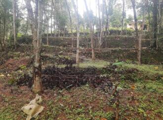 Residential Land for SaleKottayam, Kanjirapally, Manimala