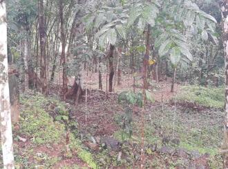 Residential Land for Sale in Kottayam, Kanjirapally, Manimala, Holy magi Forane church