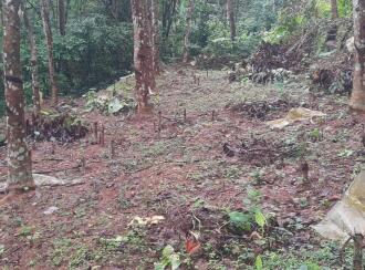 Residential Land for Sale in Kottayam, Kanjirapally, Manimala, Holy magi Forane church